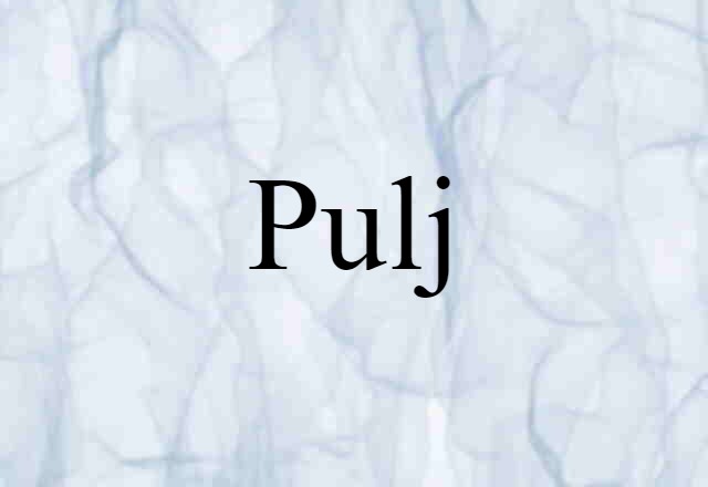 Pulj (noun) Definition, Meaning & Examples