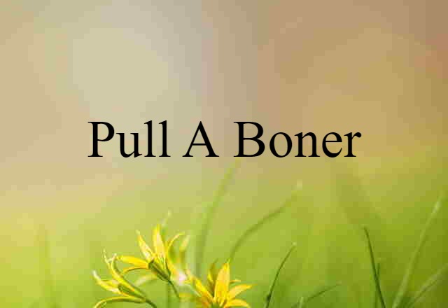 Pull A Boner (noun) Definition, Meaning & Examples