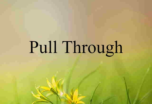 Pull Through (noun) Definition, Meaning & Examples