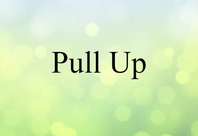 Pull-up (noun) Definition, Meaning & Examples