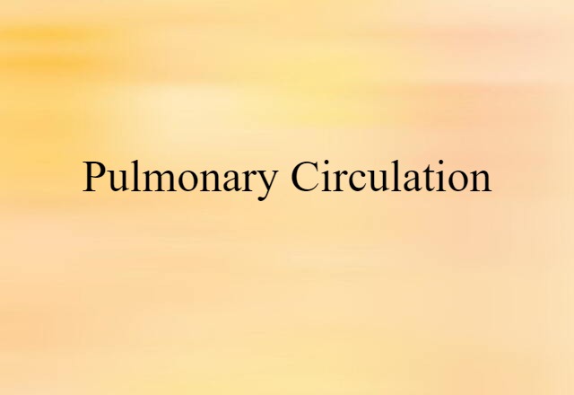 pulmonary circulation