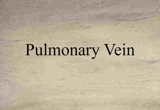 pulmonary vein