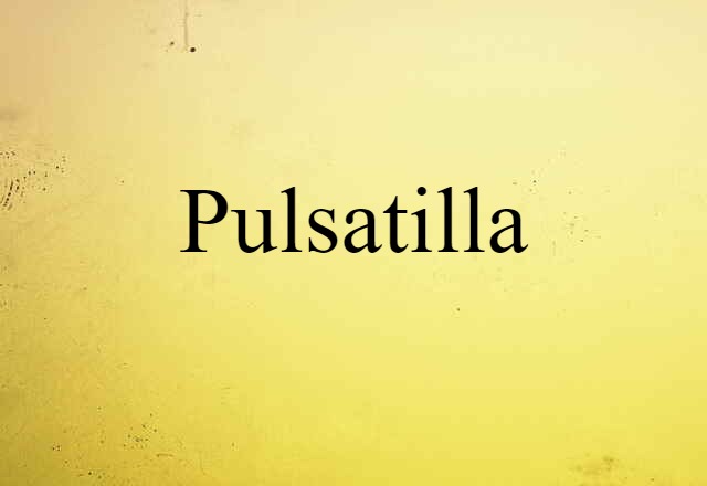 Pulsatilla (noun) Definition, Meaning & Examples