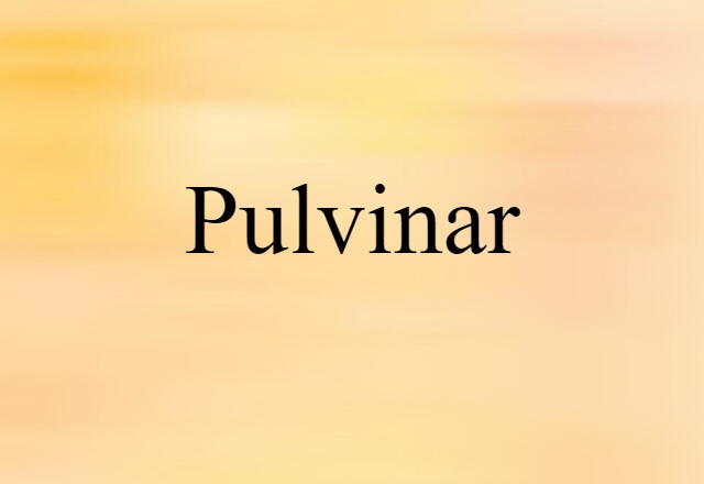 Pulvinar (noun) Definition, Meaning & Examples