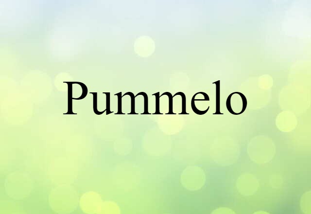 Pummelo (noun) Definition, Meaning & Examples