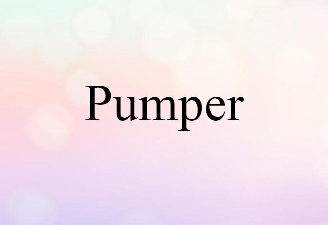 Pumper (noun) Definition, Meaning & Examples