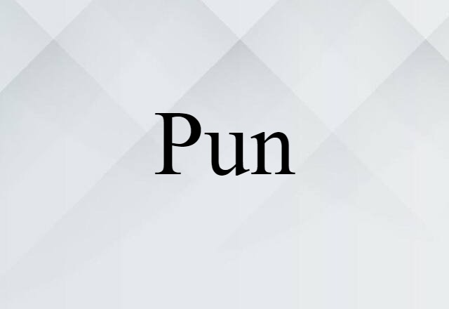 Pun (noun) Definition, Meaning & Examples