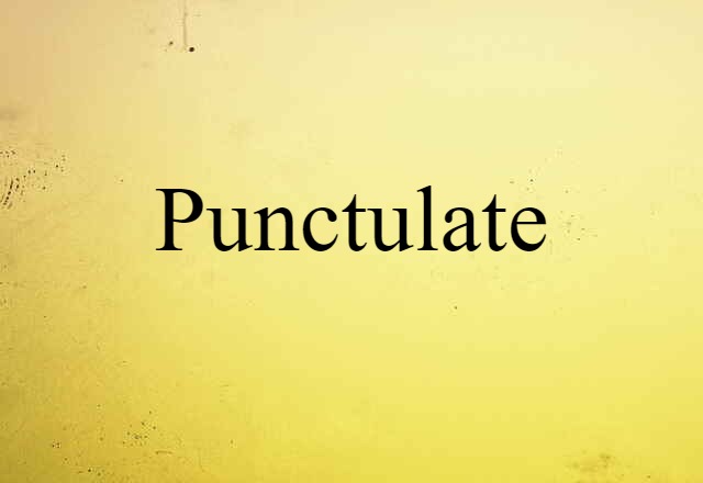 Punctulate (noun) Definition, Meaning & Examples