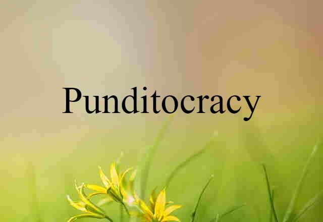 Punditocracy (noun) Definition, Meaning & Examples