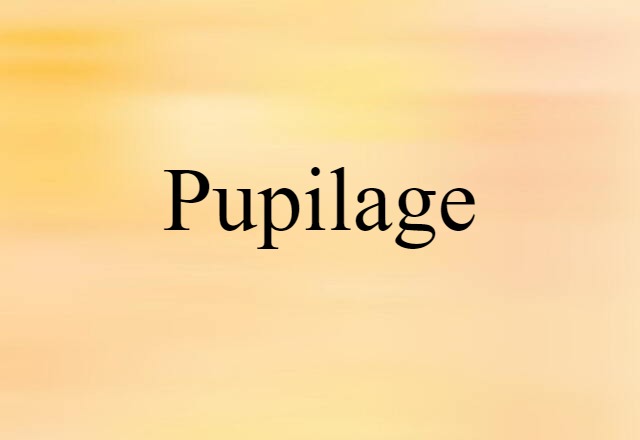 pupilage