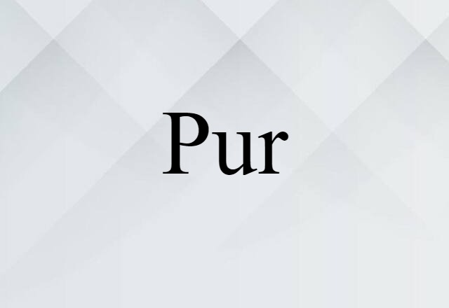 Pur (noun) Definition, Meaning & Examples