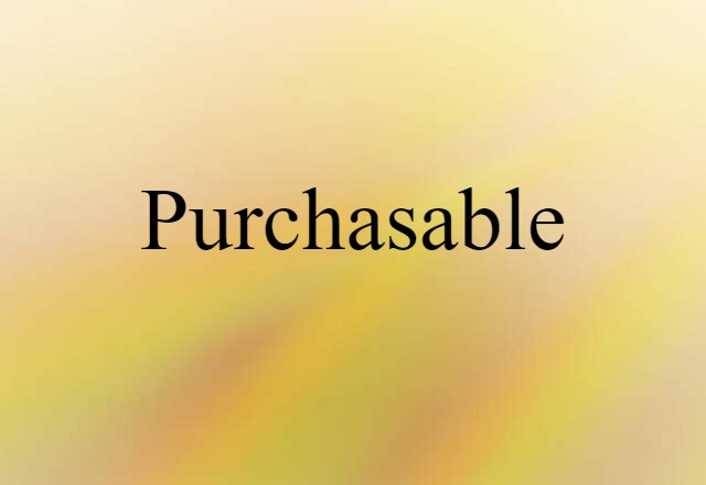 Purchasable (noun) Definition, Meaning & Examples