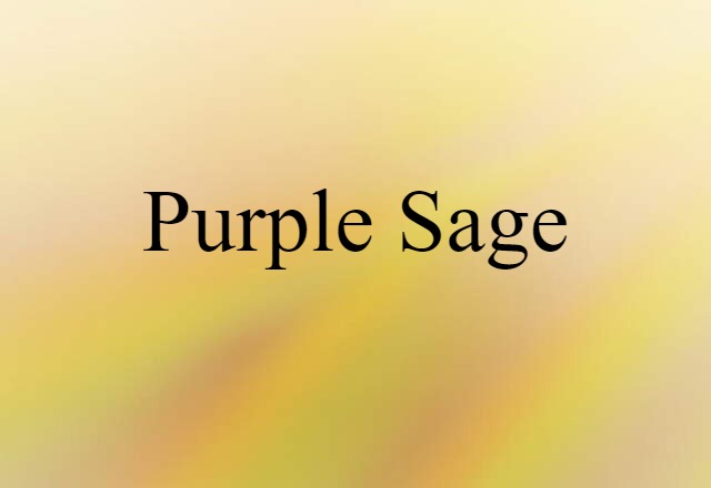 purple sage