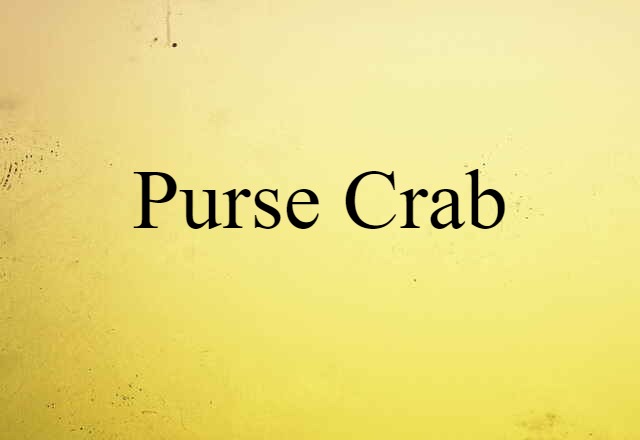 purse crab