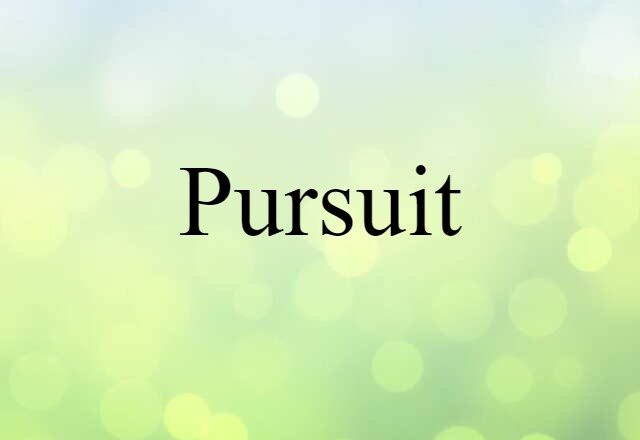 Pursuit (noun) Definition, Meaning & Examples