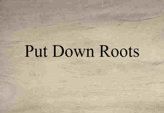 put down roots