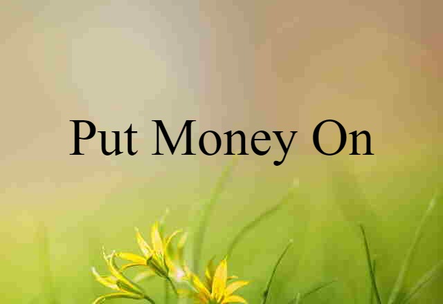 Put Money On (noun) Definition, Meaning & Examples