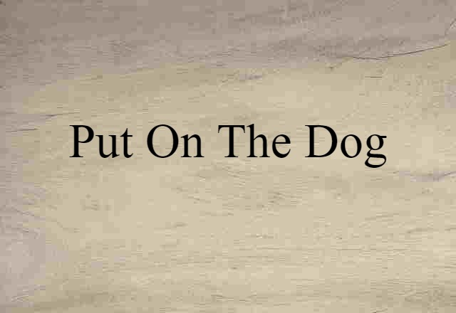 put on the dog