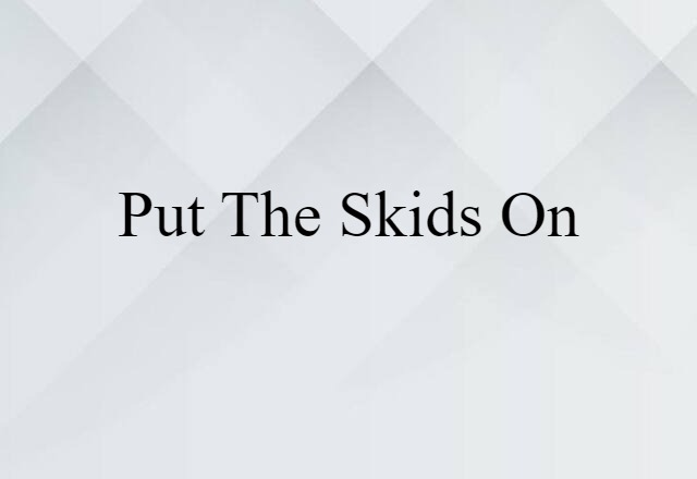 Put The Skids On (noun) Definition, Meaning & Examples