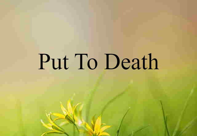 Put To Death (noun) Definition, Meaning & Examples