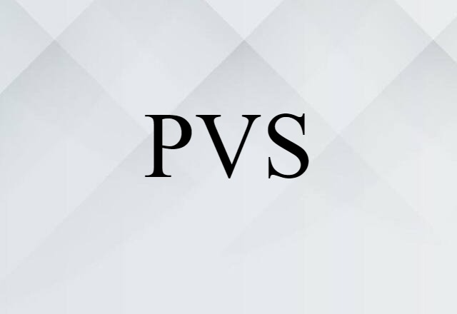 PVS (noun) Definition, Meaning & Examples