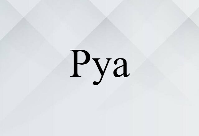 Pya (noun) Definition, Meaning & Examples