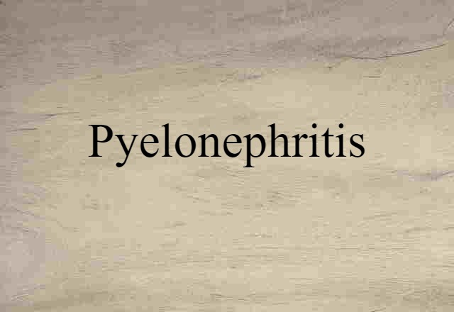 Pyelonephritis (noun) Definition, Meaning & Examples