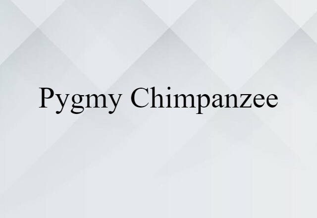 pygmy chimpanzee