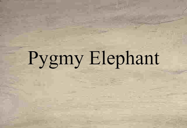 pygmy elephant