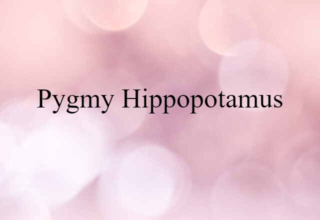 pygmy hippopotamus