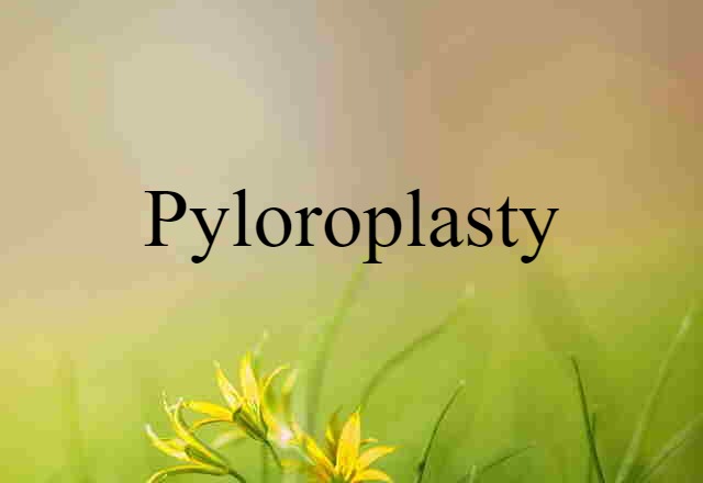 Pyloroplasty (noun) Definition, Meaning & Examples