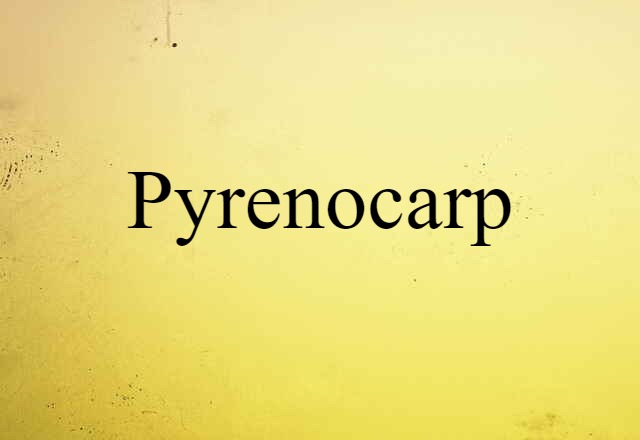 Pyrenocarp (noun) Definition, Meaning & Examples