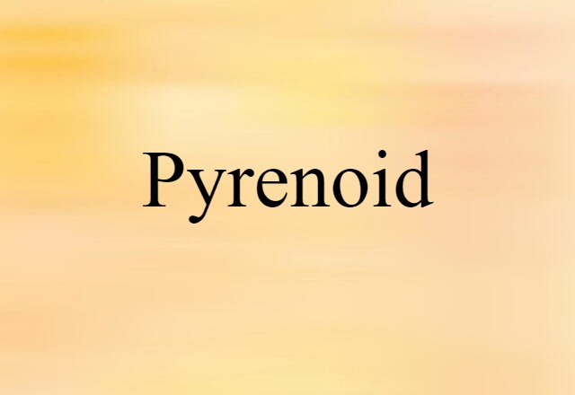 pyrenoid