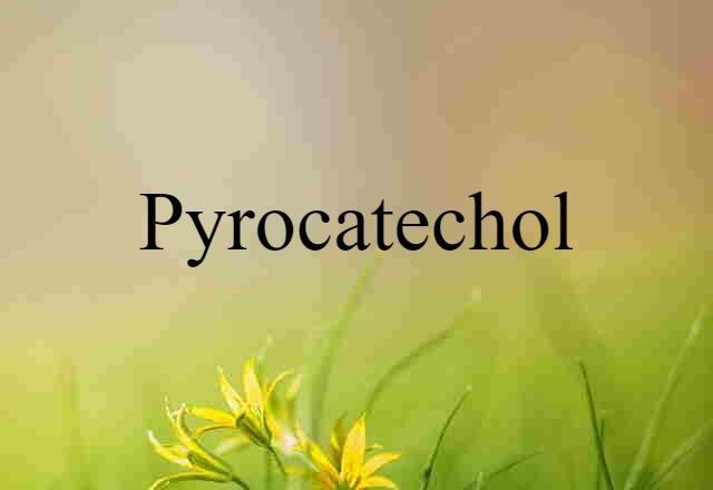 pyrocatechol