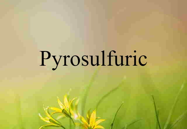 Pyrosulfuric (noun) Definition, Meaning & Examples