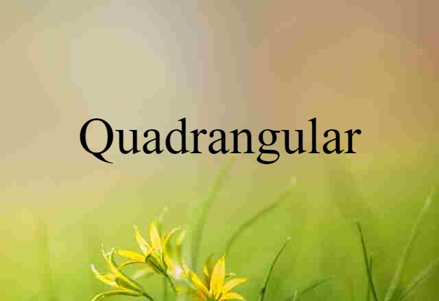 Quadrangular (noun) Definition, Meaning & Examples