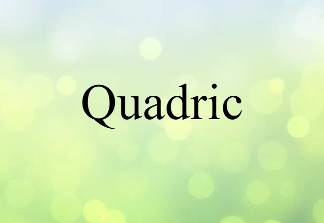 Quadric (noun) Definition, Meaning & Examples