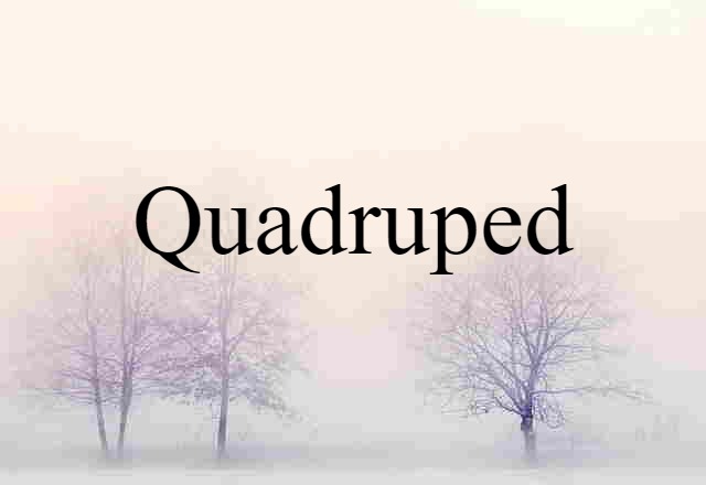 Quadruped (noun) Definition, Meaning & Examples