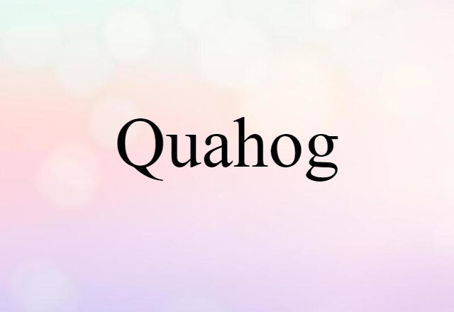 quahog