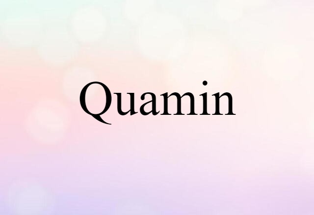 Quamin (noun) Definition, Meaning & Examples