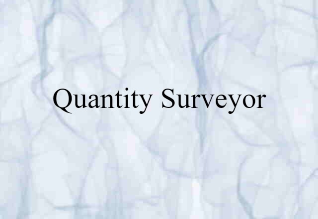 Quantity Surveyor (noun) Definition, Meaning & Examples