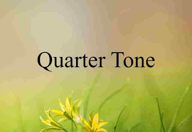 Quarter Tone (noun) Definition, Meaning & Examples