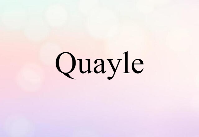 Quayle (noun) Definition, Meaning & Examples