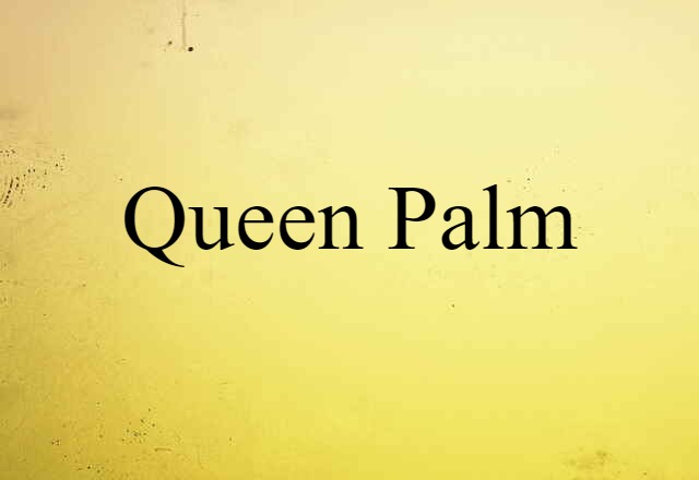 Queen Palm (noun) Definition, Meaning & Examples