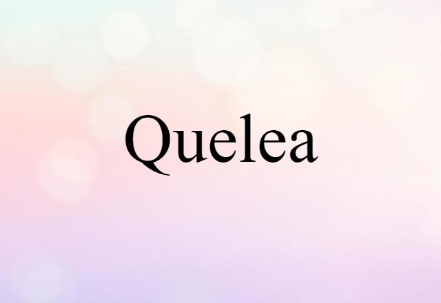 quelea