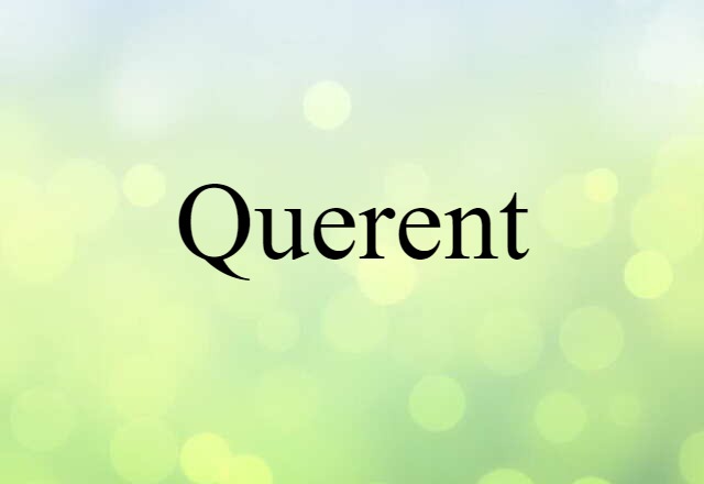 Querent (noun) Definition, Meaning & Examples