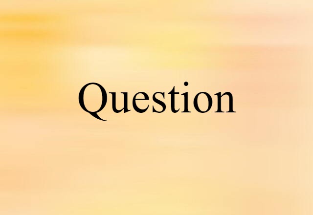 Question (noun) Definition, Meaning & Examples