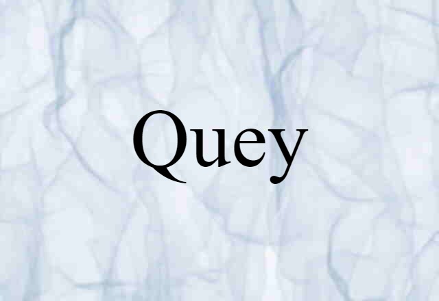 Quey (noun) Definition, Meaning & Examples