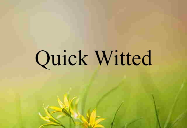 Quick Witted (noun) Definition, Meaning & Examples