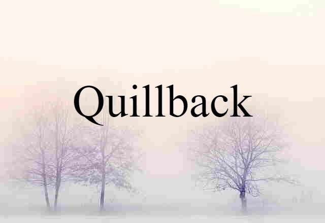 Quillback (noun) Definition, Meaning & Examples